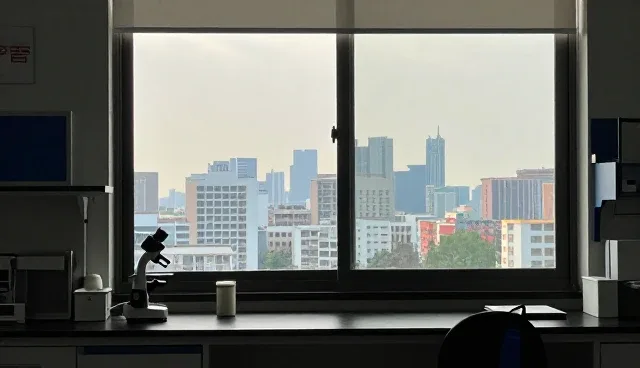 维护建议：网络适配方案选型关注点分析